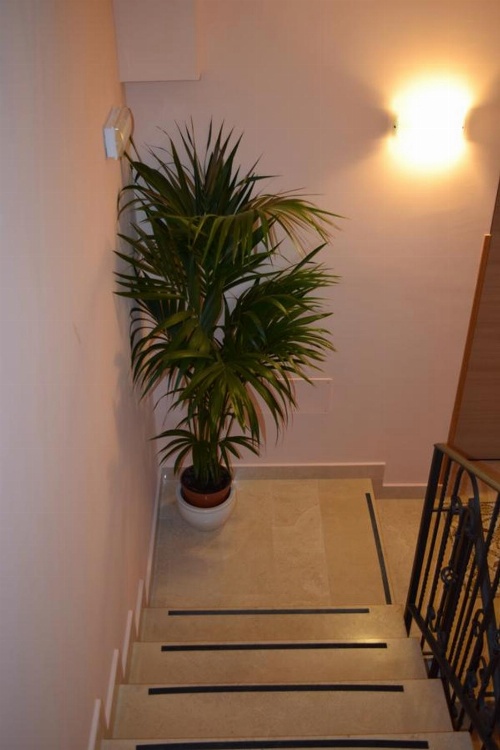 Villa La Mulinella image 1